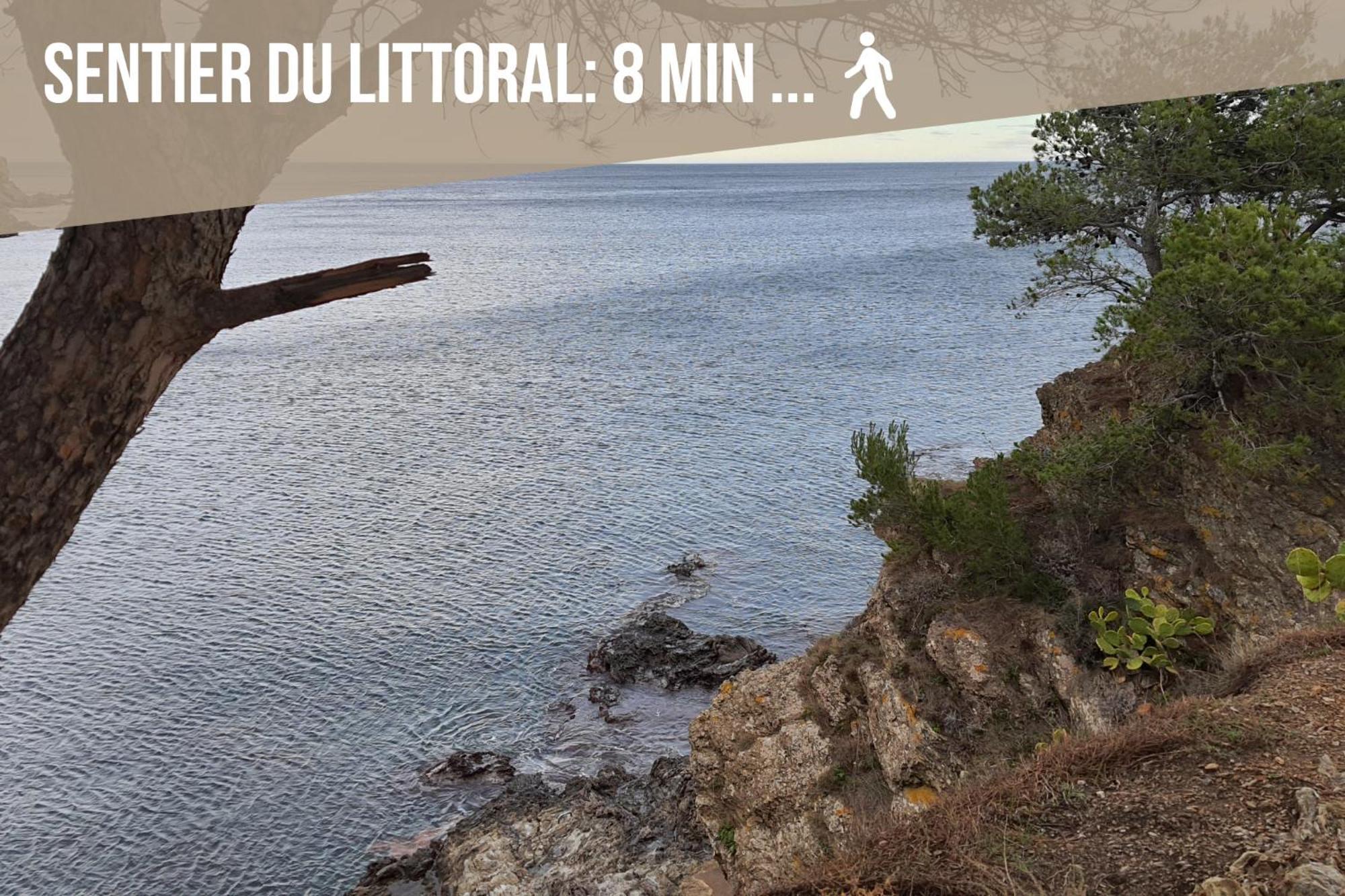 Le Belveze, Emplacement Central Et Calme Port Vendres Zewnętrze zdjęcie